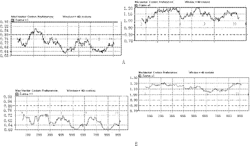 Clostridium difficile exotoxin A carboxy-terminal gene sequence with optimized codon and nucleic acid vaccine thereof