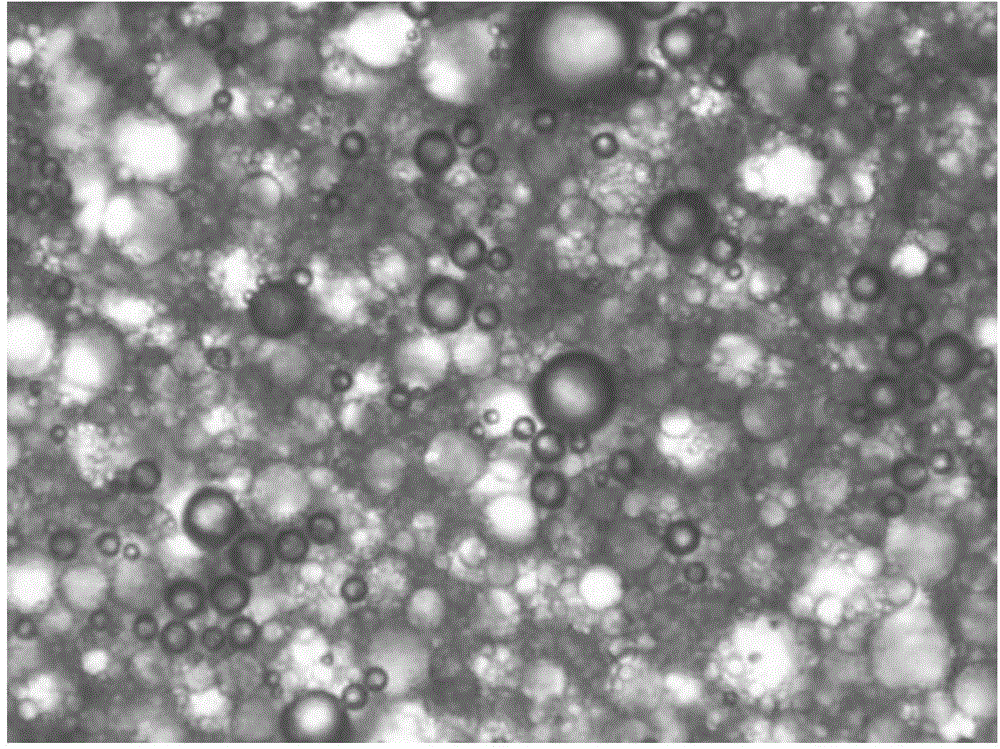 Oil-in-water drilling fluid with vegetable oil as internal phase and preparation method of oil-in-water drilling fluid