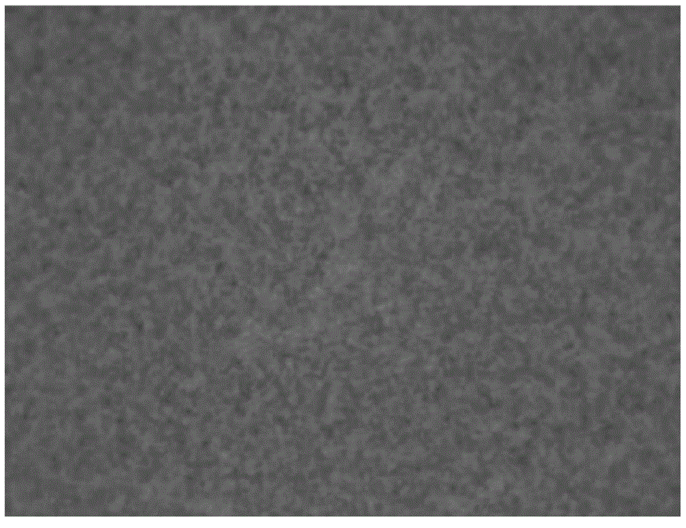 Oil-in-water drilling fluid with vegetable oil as internal phase and preparation method of oil-in-water drilling fluid