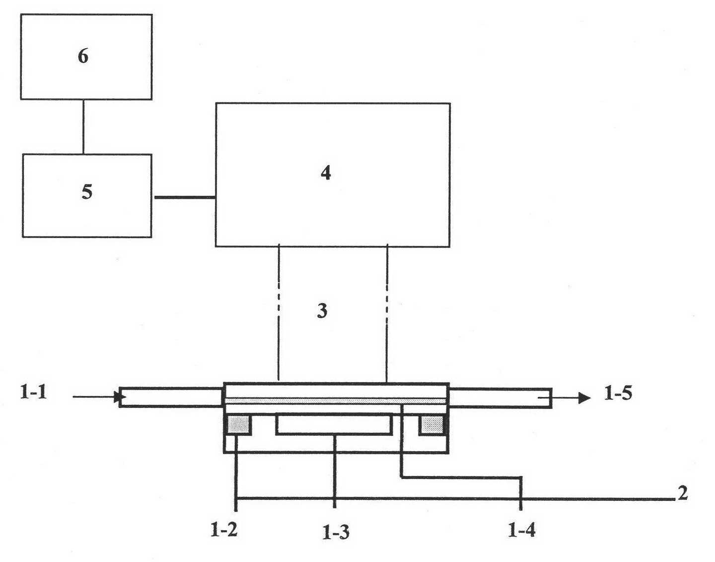 Magnetic bead electrochemiluminescence gene sensor-based method for detecting mercury ions and application thereof