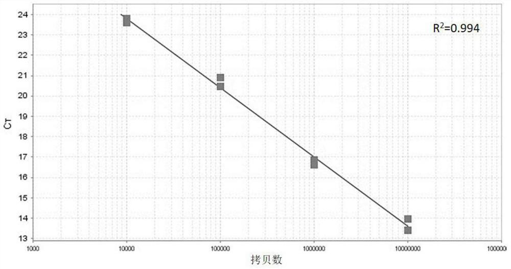 Human pulmonary infection assessment method based on intestinal flora in excrement sample and application of human pulmonary infection assessment method