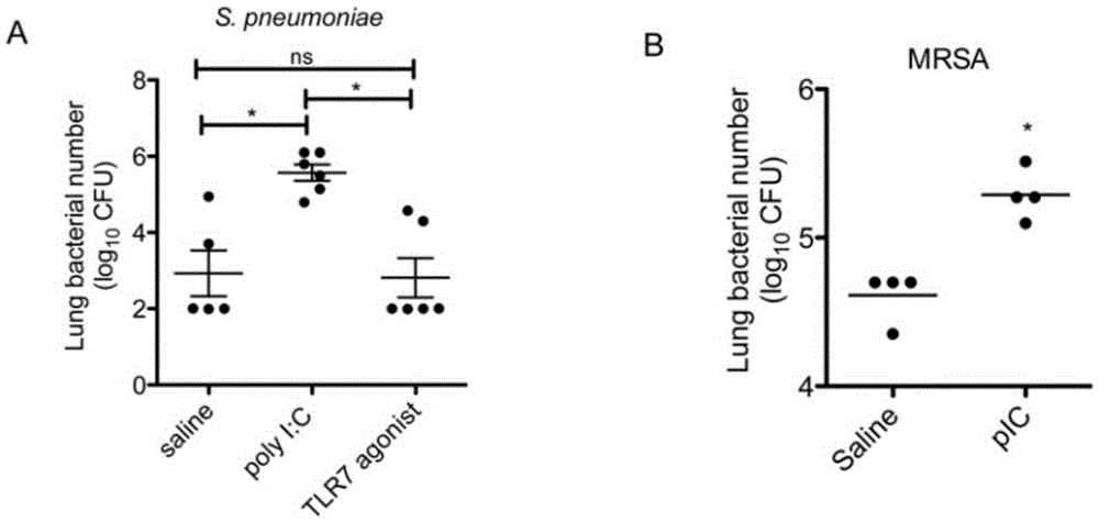 Beneficial influence of activation of TLR3 and RIG-I signaling pathways on bacterium-elimination barrier effect caused by polyinosinic-polycytidylic acid