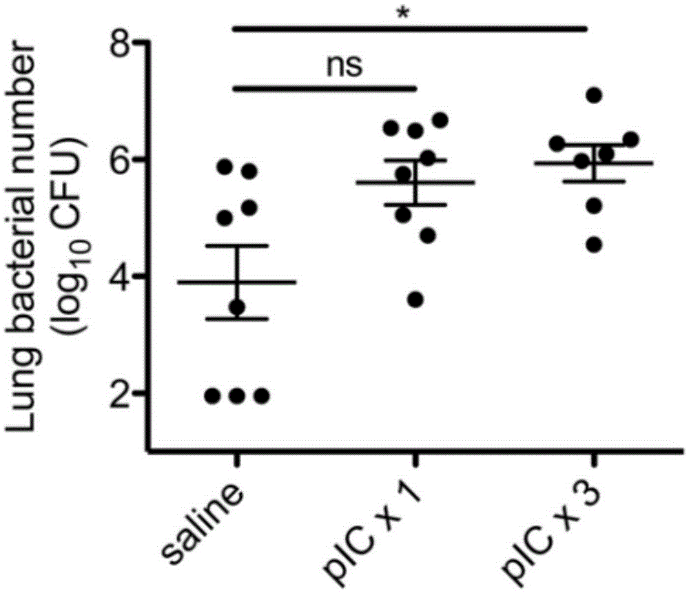 Beneficial influence of activation of TLR3 and RIG-I signaling pathways on bacterium-elimination barrier effect caused by polyinosinic-polycytidylic acid