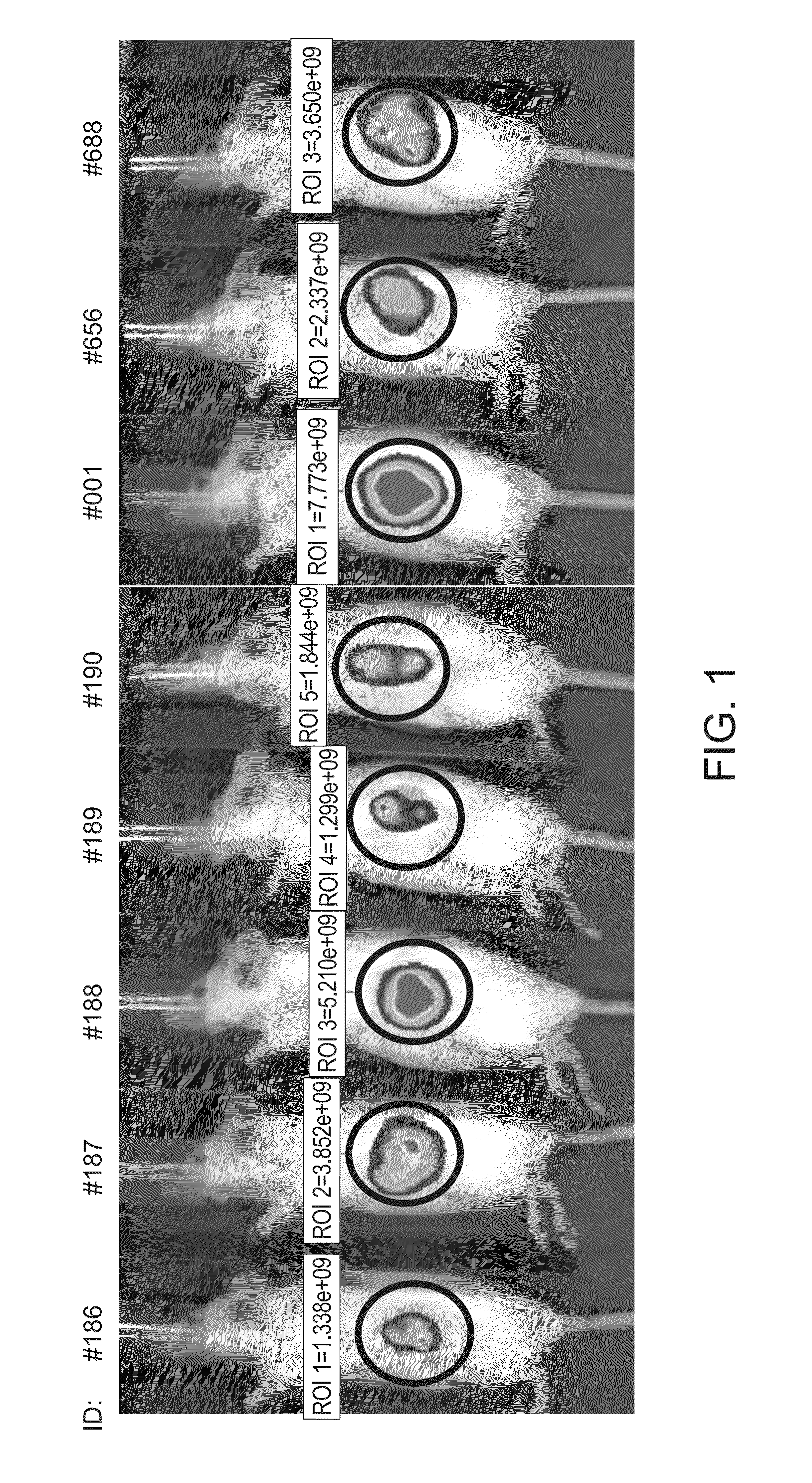 Method of treating cancer