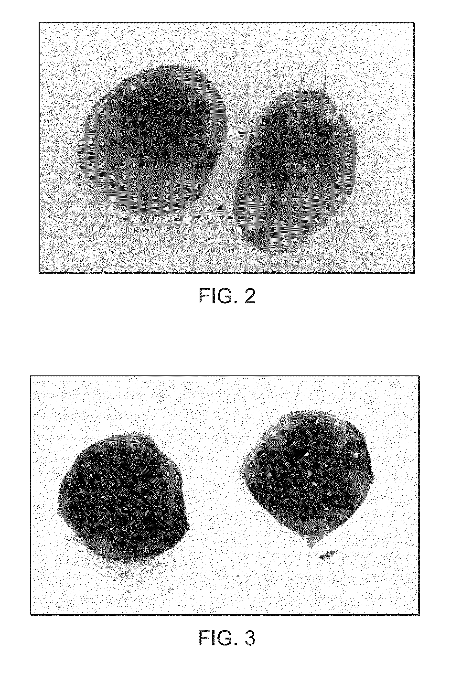 Method of treating cancer