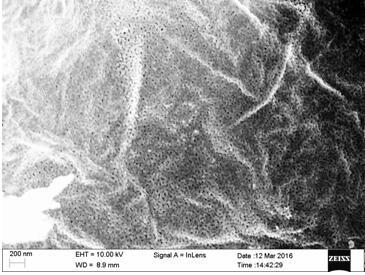 Tungsten carbide spray powder containing modified graphene for preparing self-lubricating wear-resistant coating