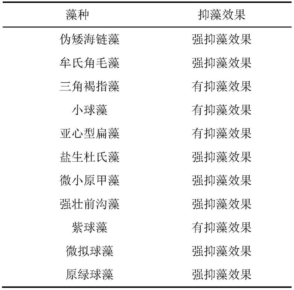 Application of compound 3,3',5,5'-tetrabromo-2,2'-biphenyldiol in inhibiting and removing algae