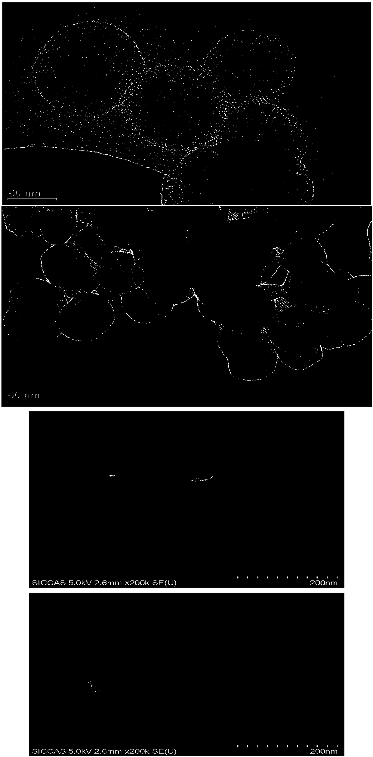 Silica nano material delivery system for capturing and treating circulating tumor cells