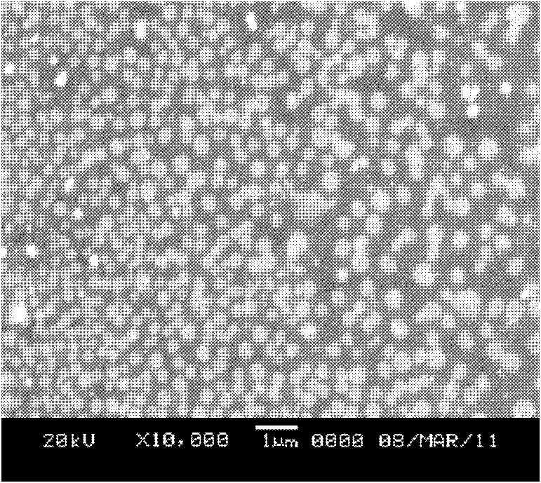 Preparation method and application of paclitaxel intravenous fat emulsion