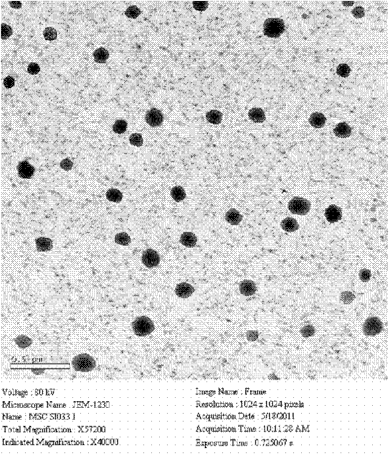 Preparation method and application of paclitaxel intravenous fat emulsion