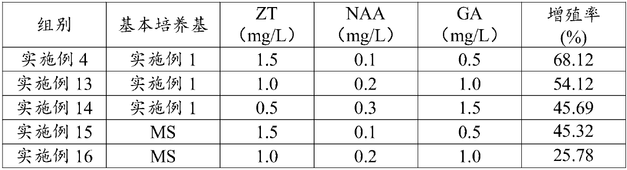 Method and culture medium for carrying out induction culture on regenerated plants by adopting pulsatilla chinensis anthers