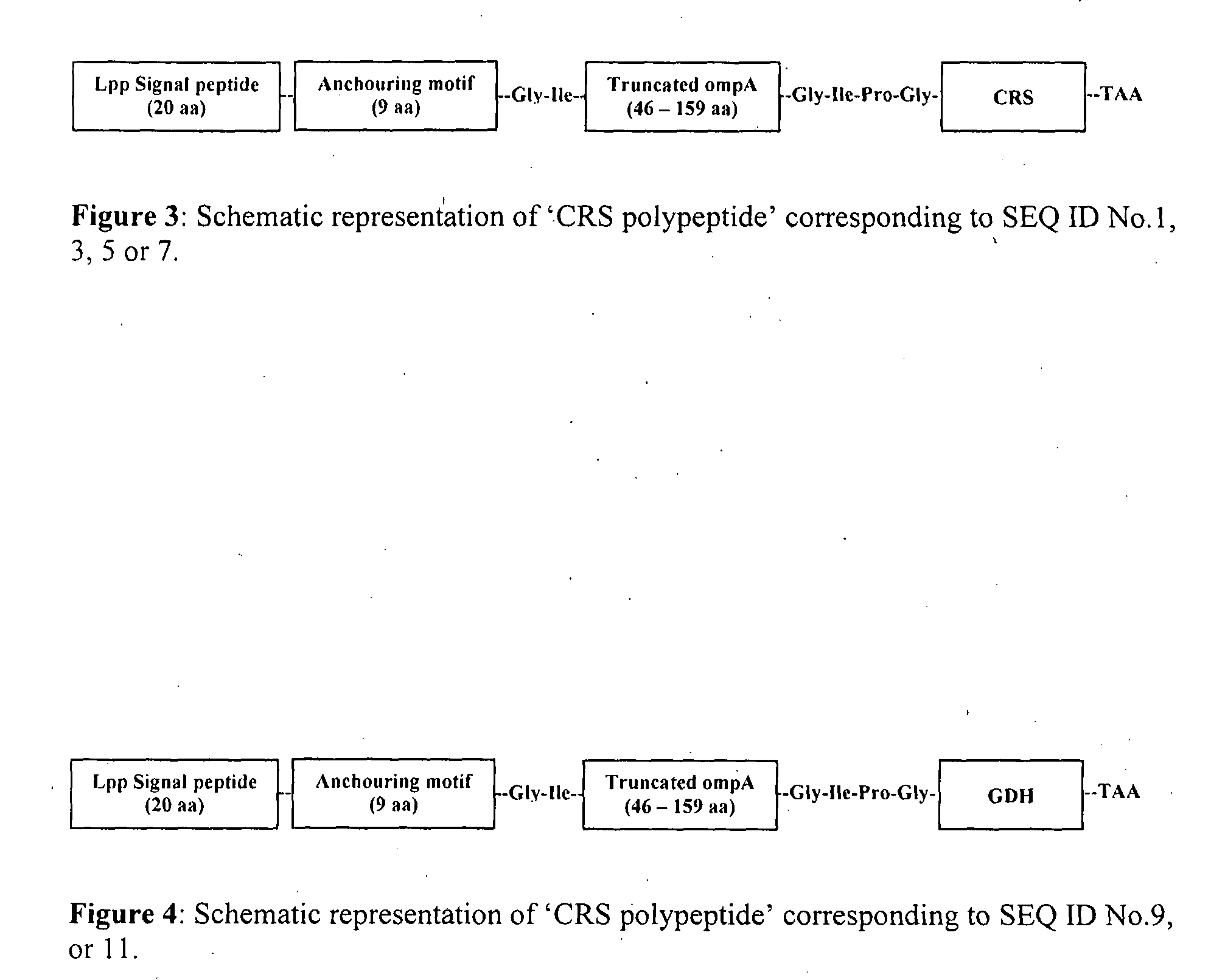 Designer cells for enantioselective reduction of ketones and use thereof in efficient production of enantioenriched alcohols