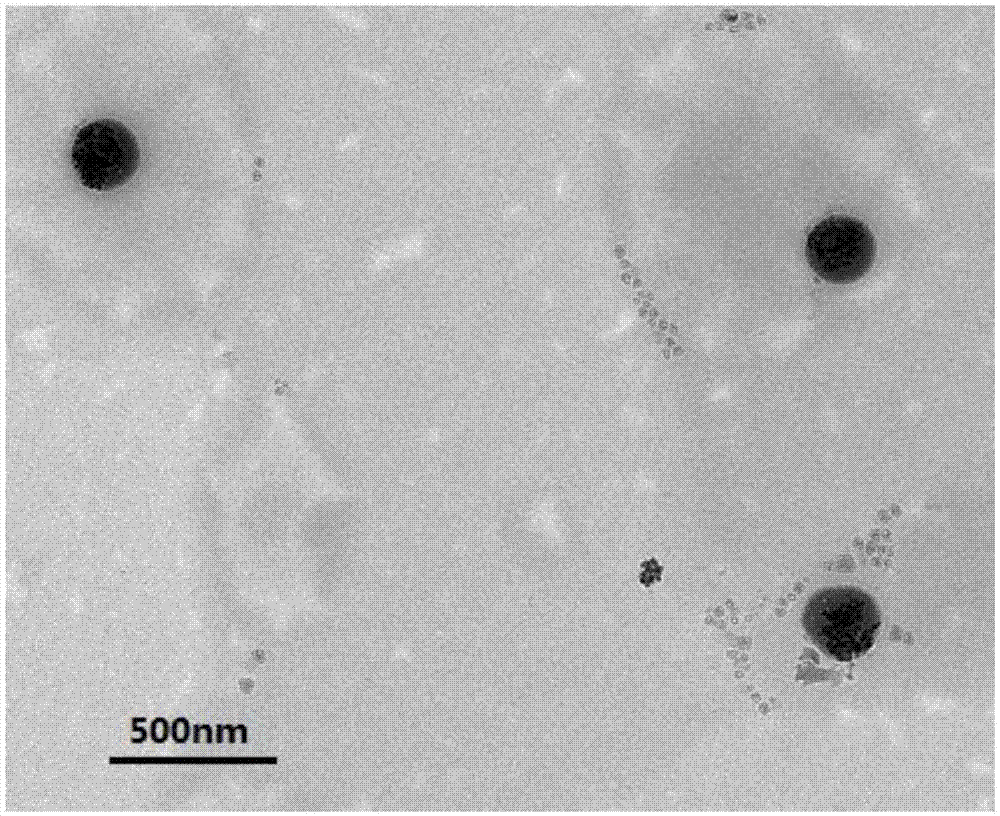 Fe3O4 magnetic nimodipine liposome and preparation method thereof