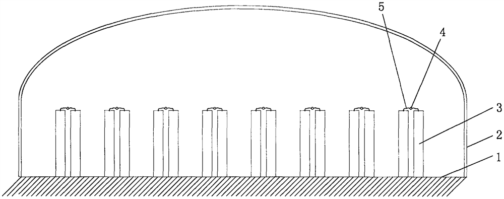 Dioscorea opposita planting device and method