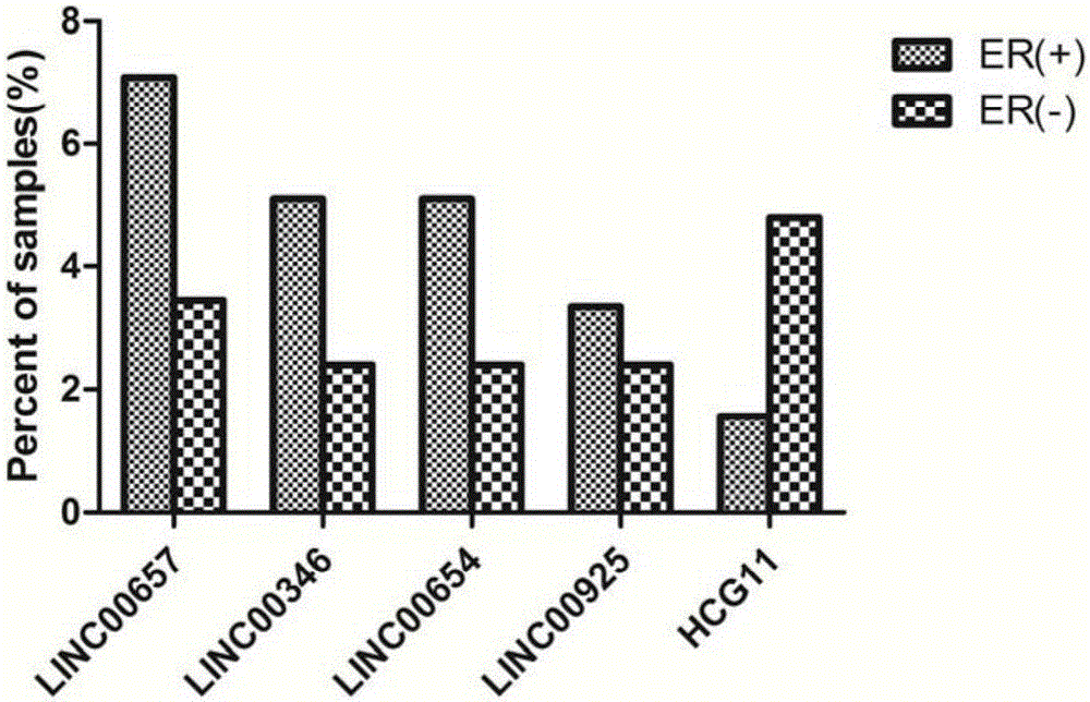 Breast tumor prognosis biomarker LncRNA detection method and clinical application thereof