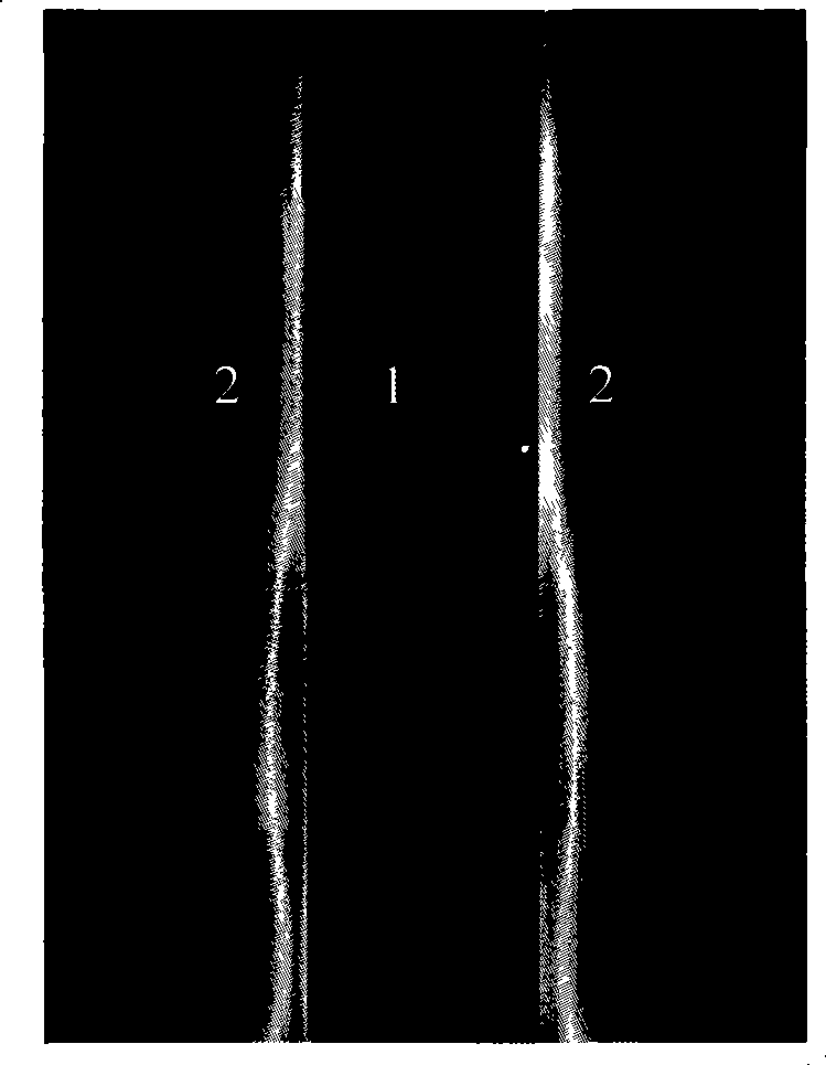 Surface phasmon coaxial optical waveguide structure