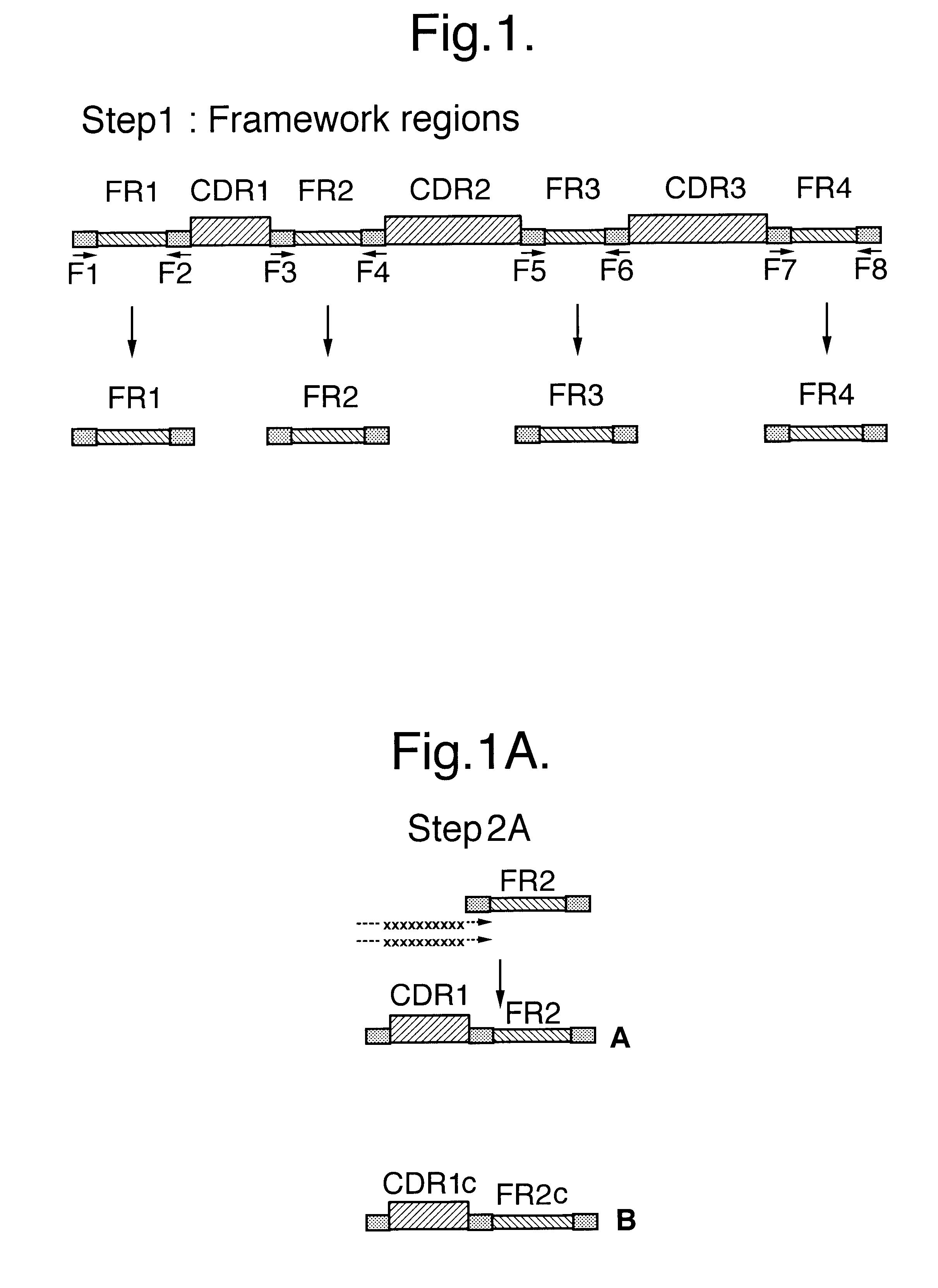 Method for producing antibody fragments