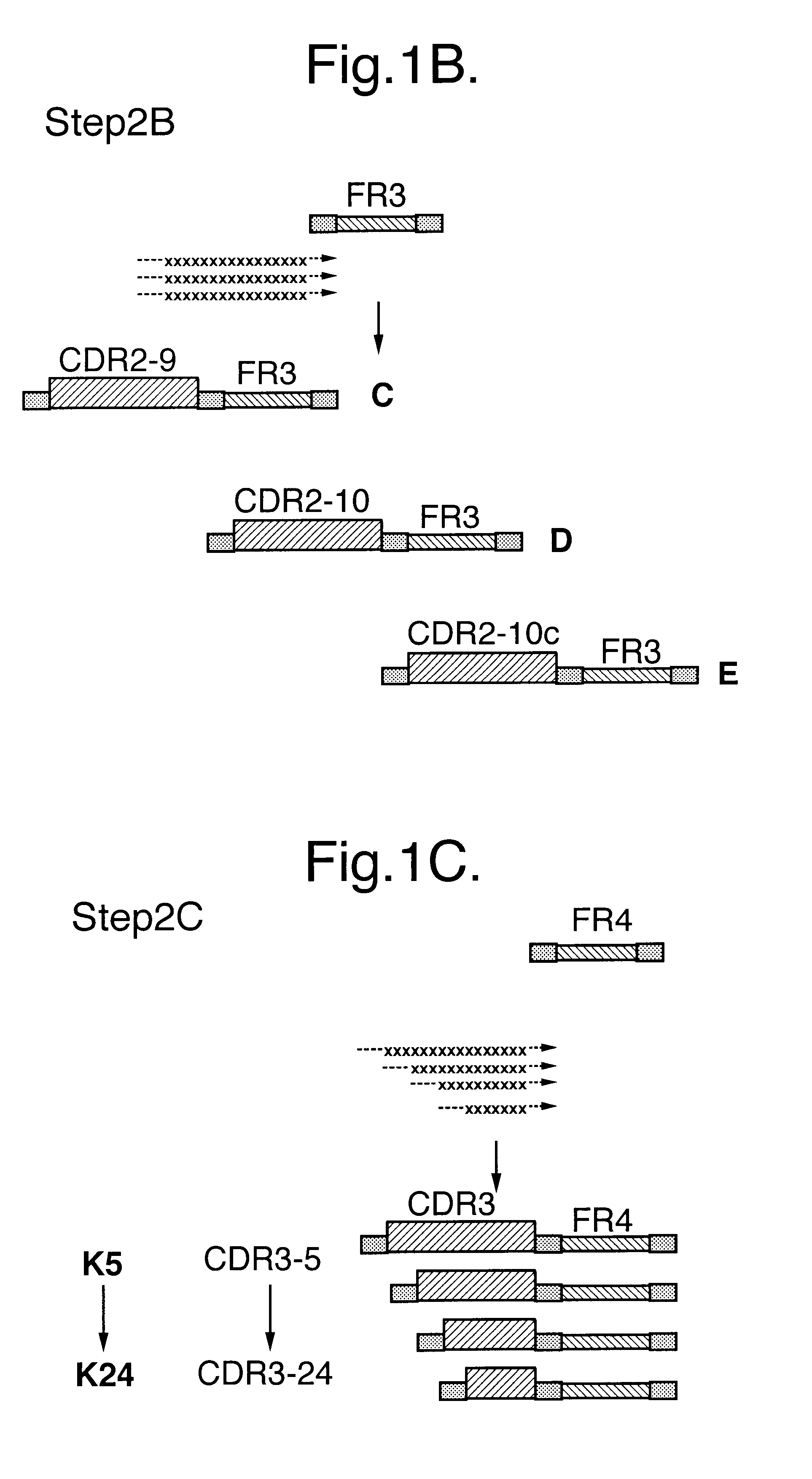 Method for producing antibody fragments