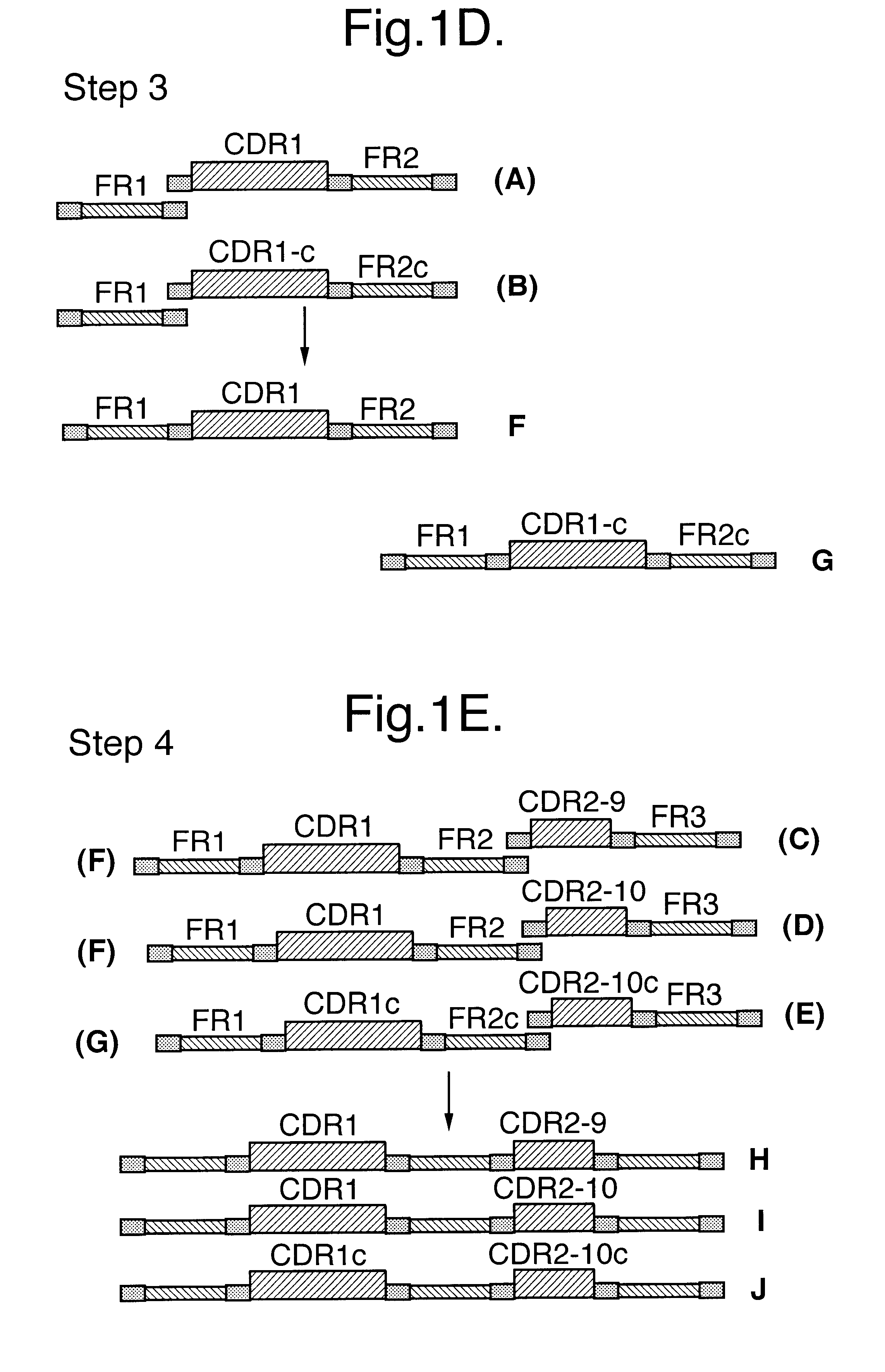 Method for producing antibody fragments