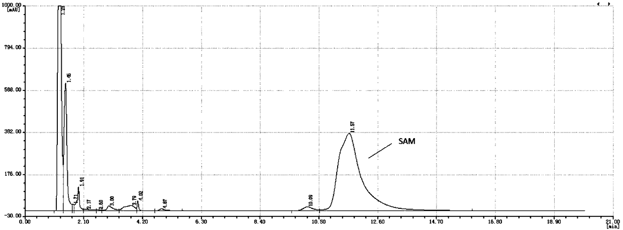 Method of enzymatic co-production