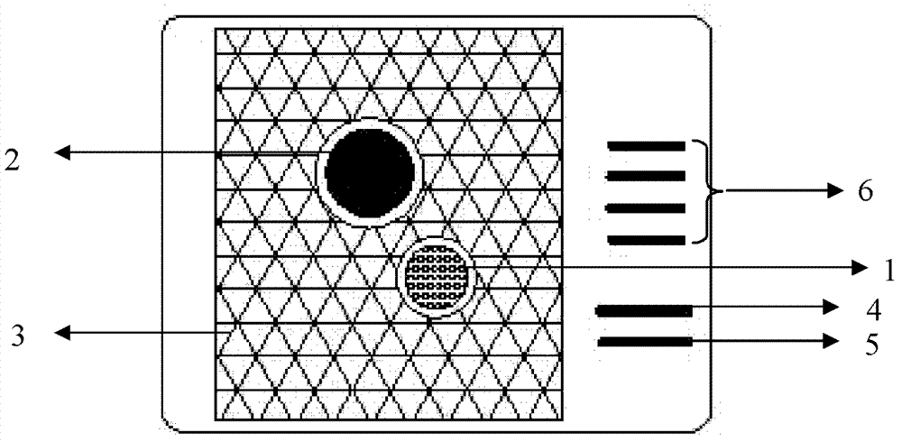 Real-time monitoring sensor for durability of concrete structures and fabricating method thereof