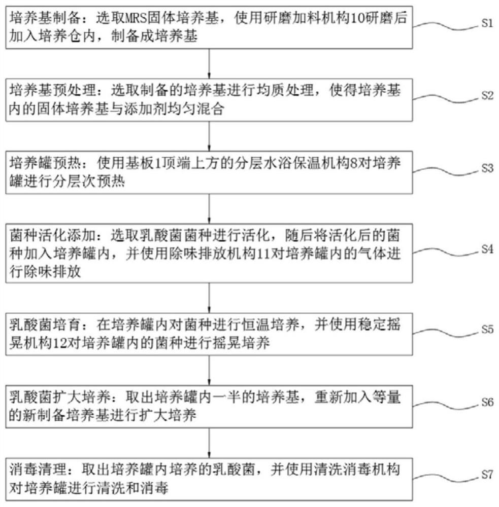 Preparation method of high-activity lactic acid bacteria