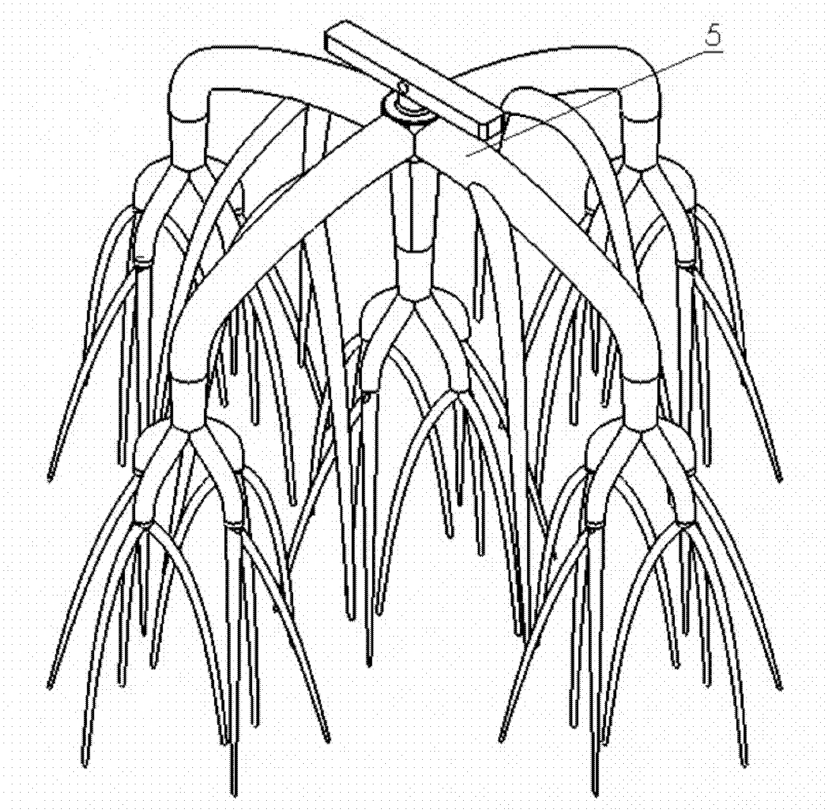 Method for preparing complex organ precursor with branch vessel network