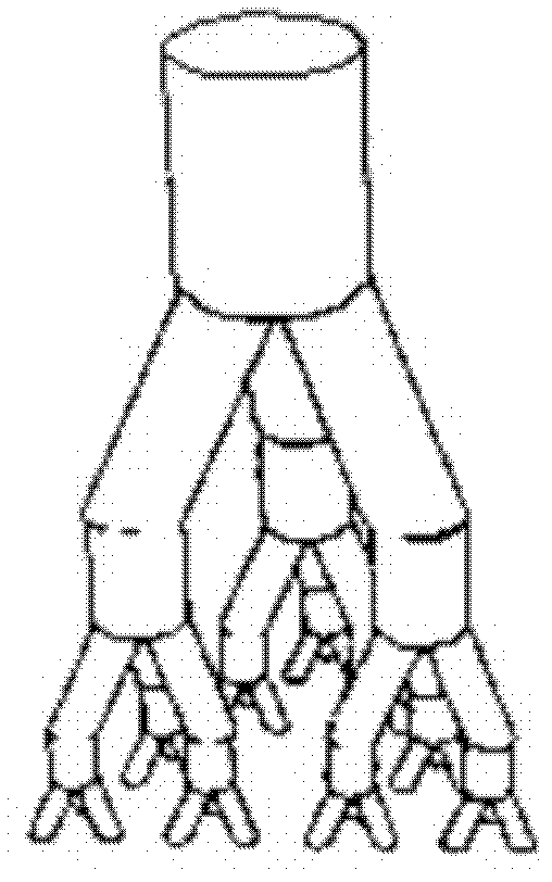 Method for preparing complex organ precursor with branch vessel network