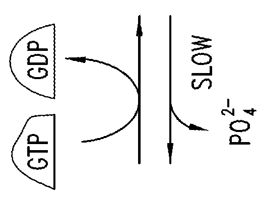 Inhibitors of kras g12c mutant proteins