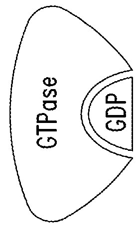 Inhibitors of kras g12c mutant proteins