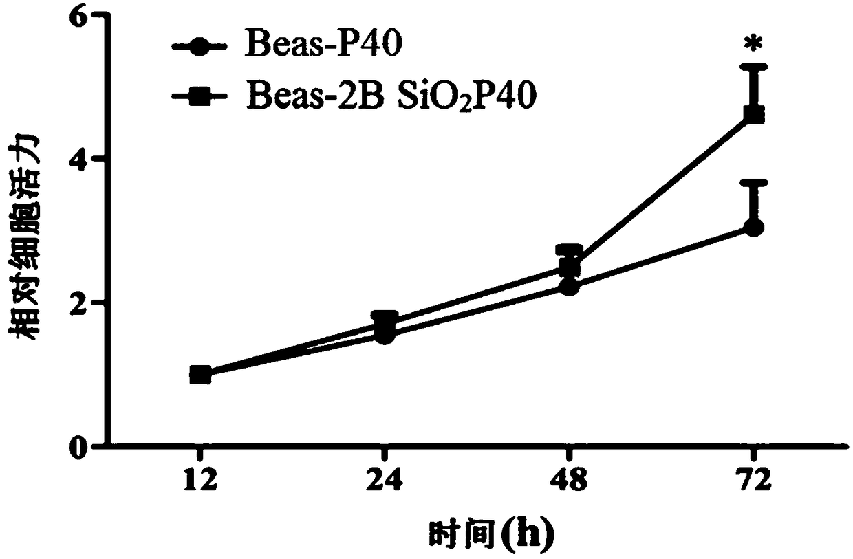 Model cell strain for malignant transformation of lung cell induced by nano-silica dioxide and application thereof