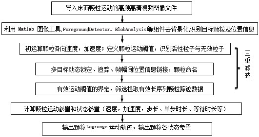 Bed surface particle identification tracking method based on motion image backtracking