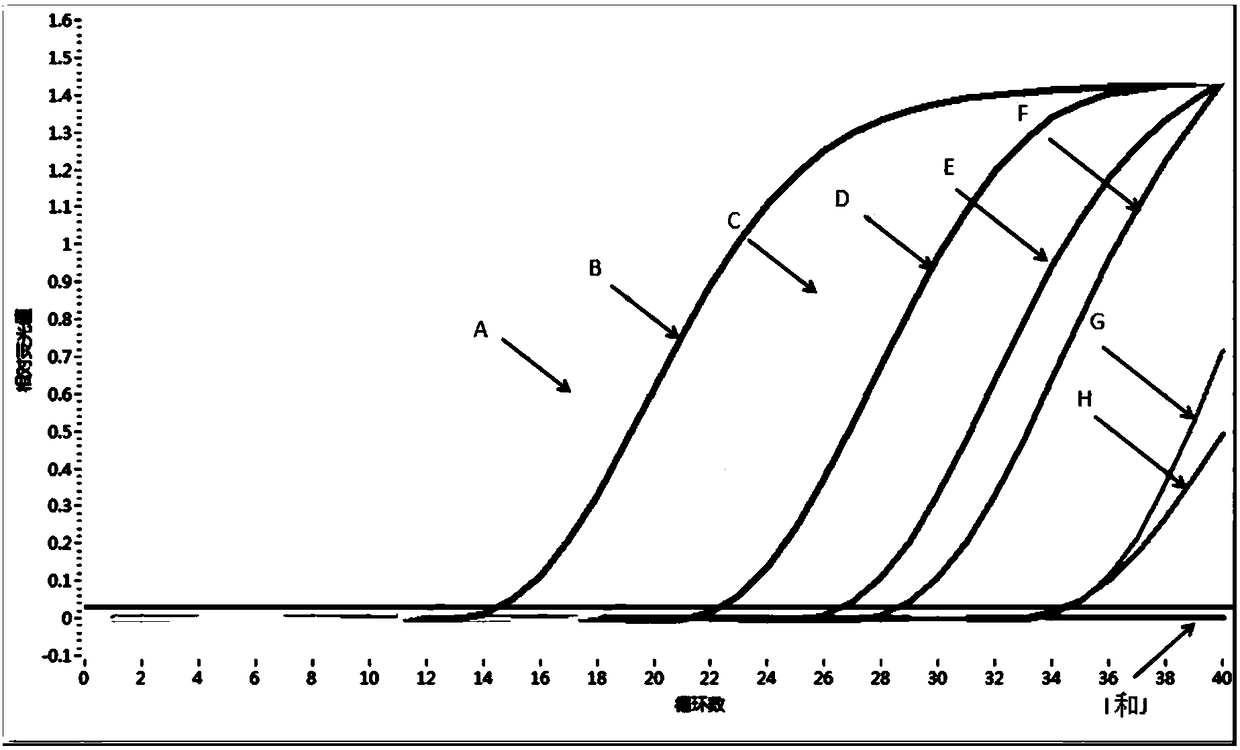 Specific primer and probe for detection of HTLV-I and HTLV-II and fluorescent quantitative PCR detection kit