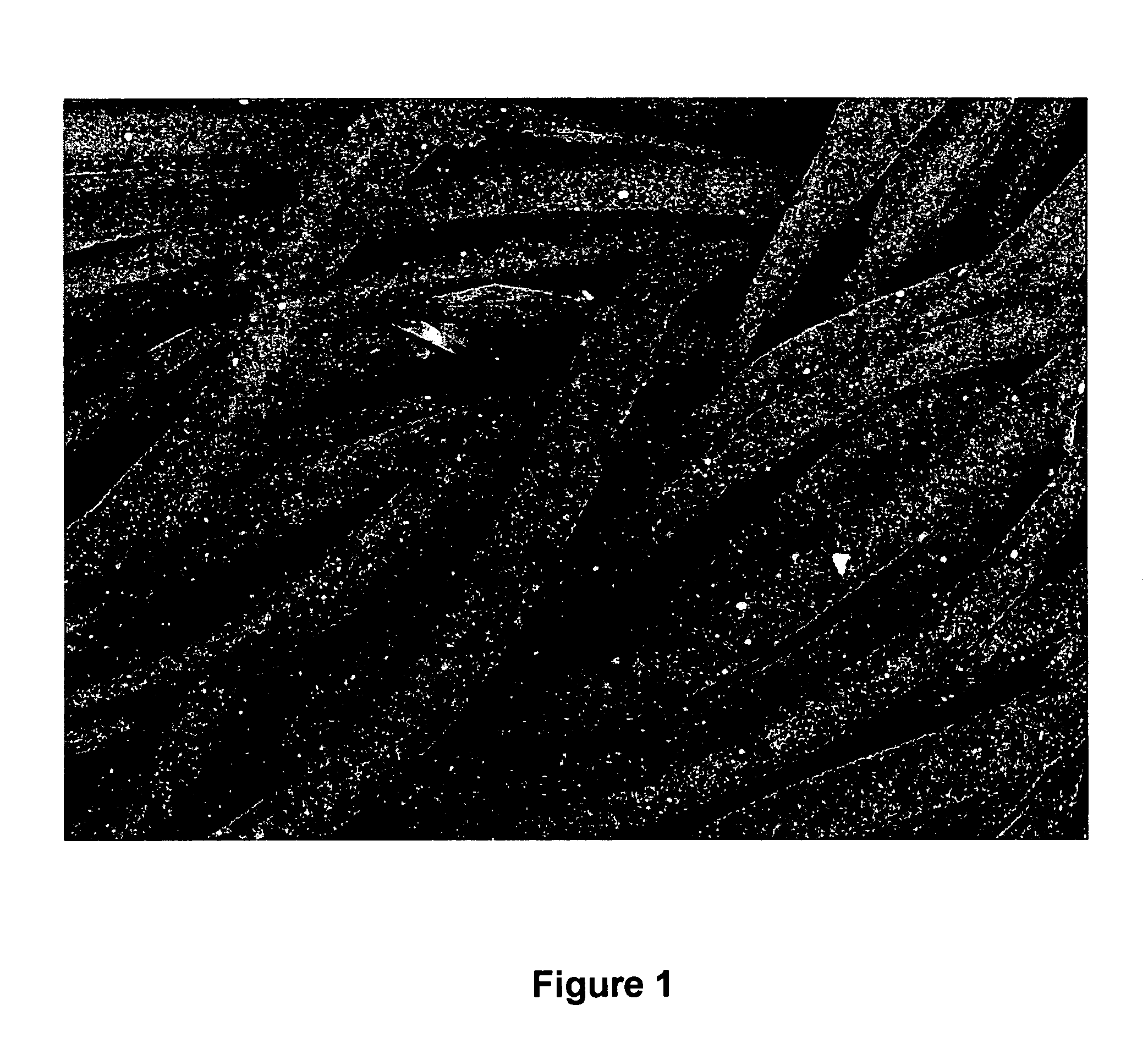 Device for cleaning tooth and gum surfaces