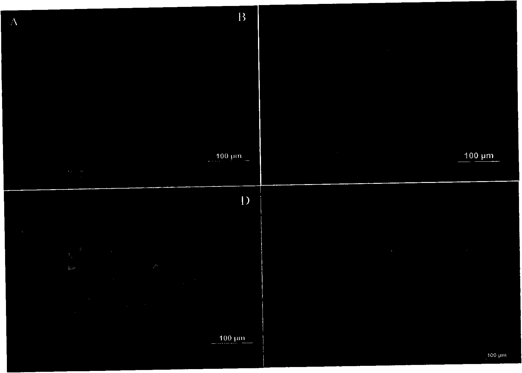 Porcine reproductive and respiratory syndrome virus (PRRSV) double-antibody sandwich ELISA kit