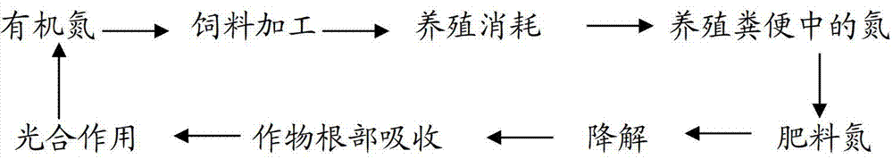 Method for producing an amino acid bio-organic fertilizer in a fermenting way by adopting solidified livestock and poultry manure and product thereof