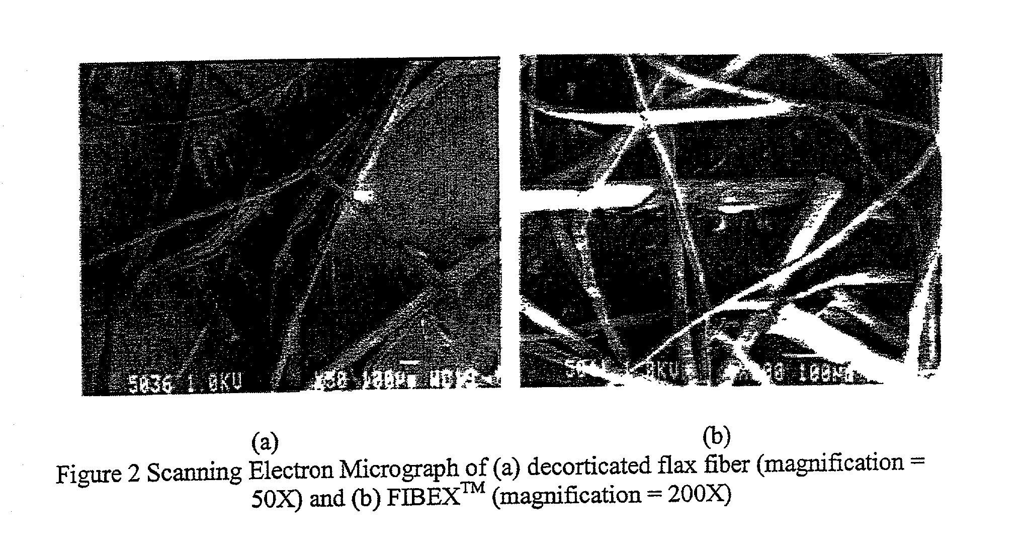 Fibrillated bast fibers as reinforcement for polymeric composites