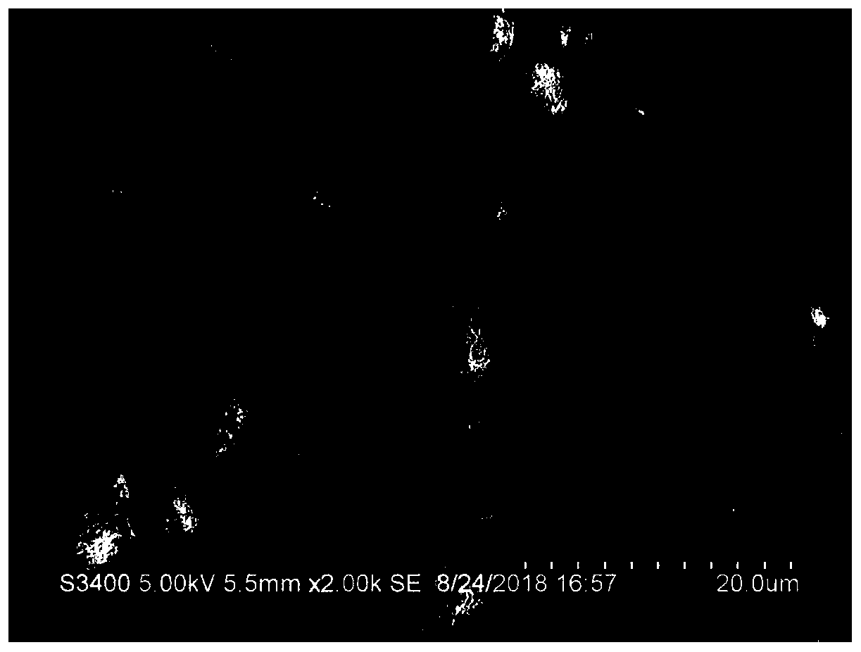 Preparation method of ternary precursor with bulk phase doped with rare earth elements and positive electrode material of ternary precursor