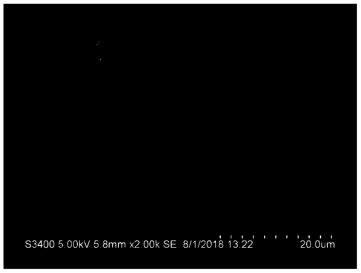 Preparation method of ternary precursor with bulk phase doped with rare earth elements and positive electrode material of ternary precursor