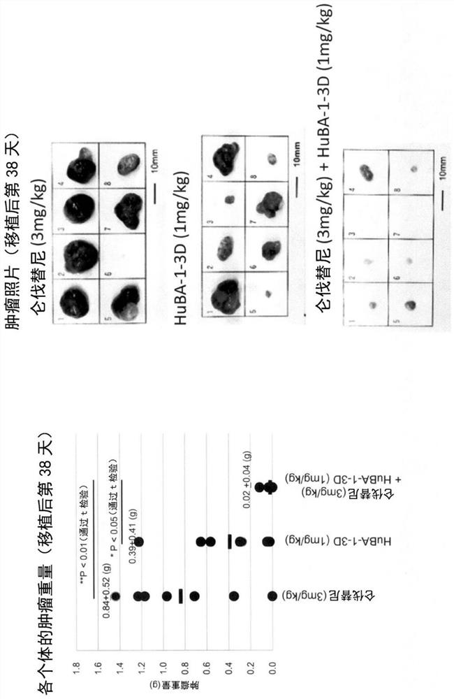 Medicament for treating cancer