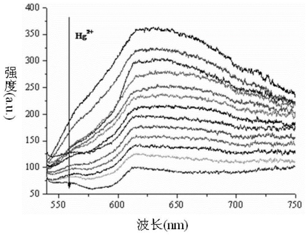 Water-soluble conjugated polymer of benzoselenadiazole and preparation method and application of conjugated polymer