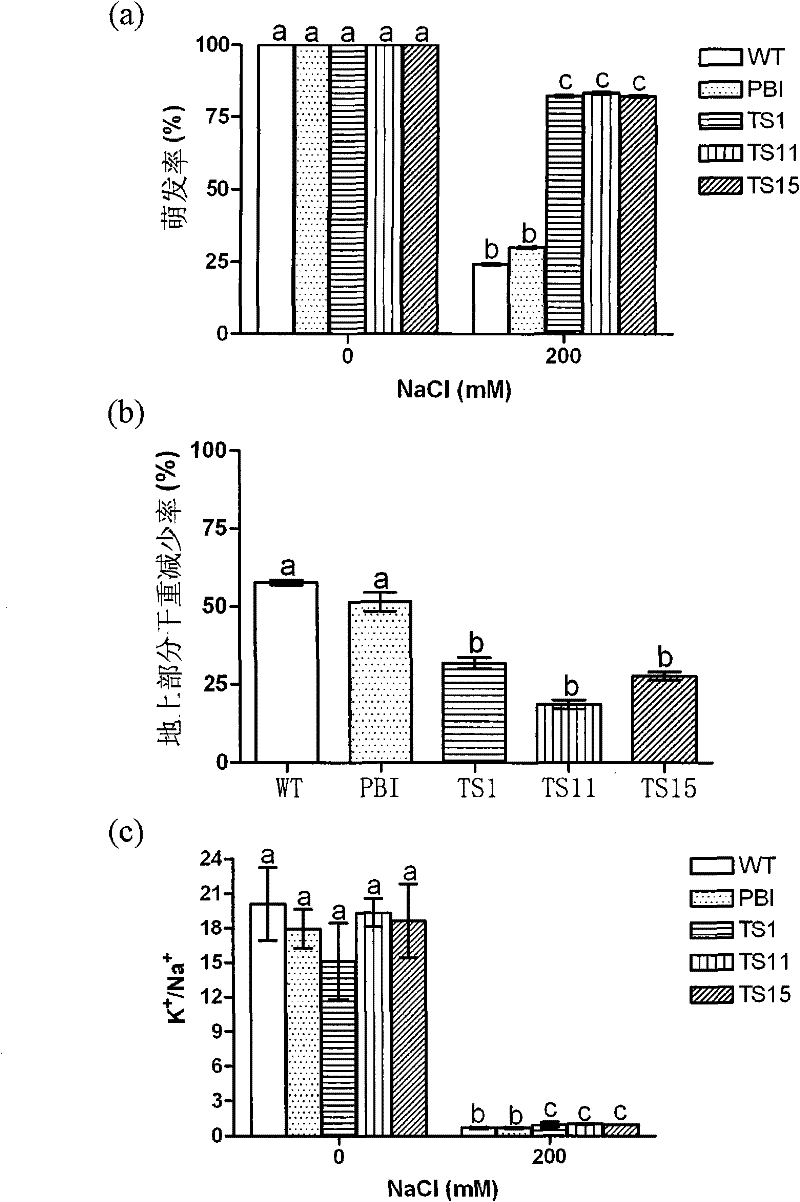 Application of Na+/H+ reverse transport protein and protein-coding gene thereof in culturing disease-resistant transgenic plant