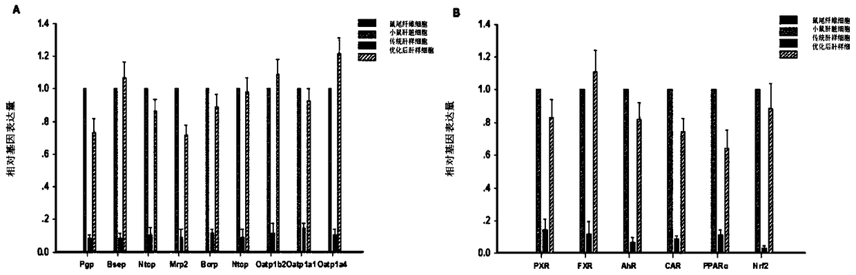 Method for culturing hepatic-like cells in vitro and optimized hepatic-like cells cultured by this method