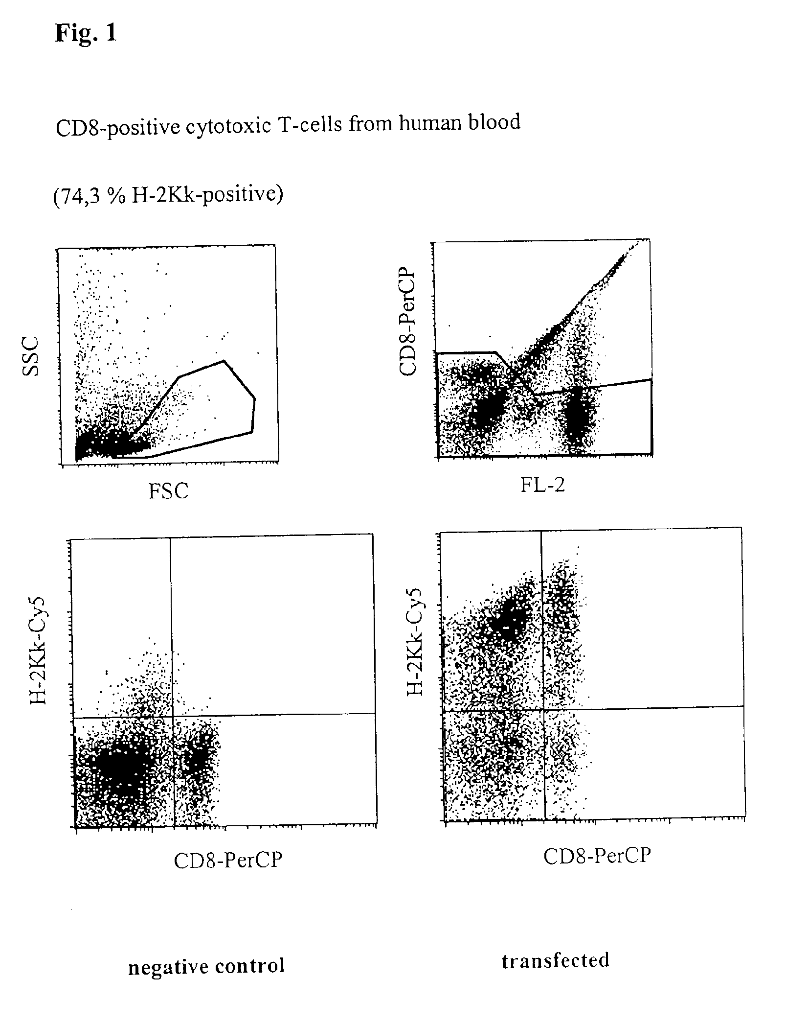 Circuit arrangement for injecting nucleic acids and other biologically active molecules into the nucleus of higher eucaryontic cells using electrical current