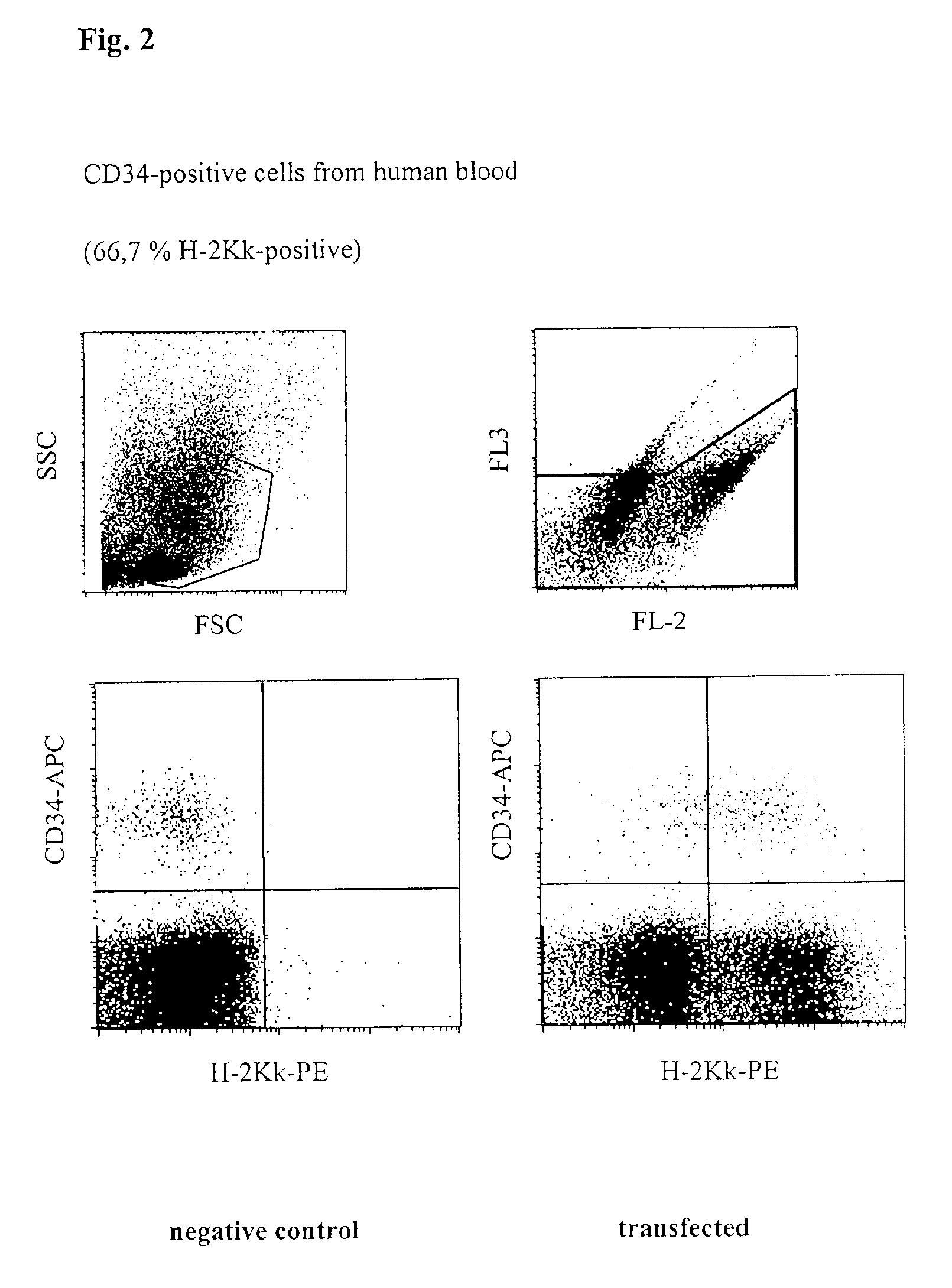 Circuit arrangement for injecting nucleic acids and other biologically active molecules into the nucleus of higher eucaryontic cells using electrical current