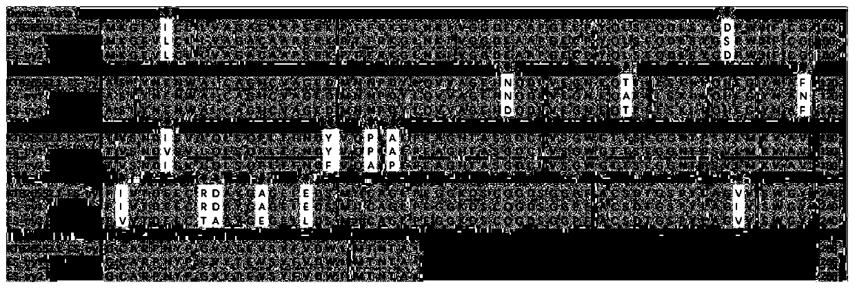 Enzyme activity evaluation method for euphausia superba trypsin at low temperature