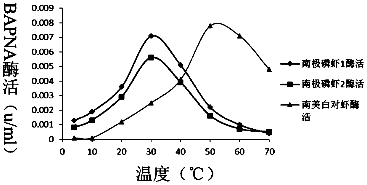 Enzyme activity evaluation method for euphausia superba trypsin at low temperature