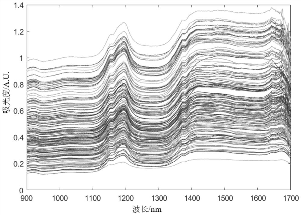 Pine nut protein content prediction method based on ensemble learning calibration model