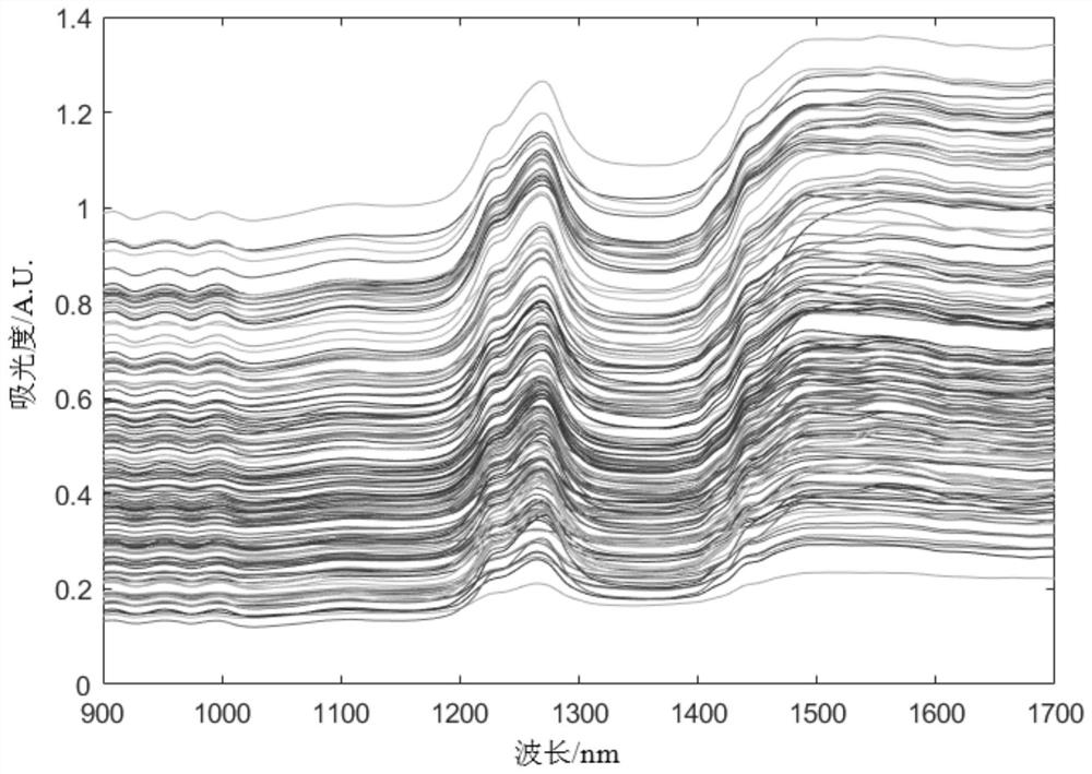 Pine nut protein content prediction method based on ensemble learning calibration model