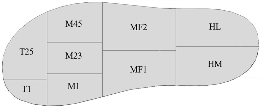 Multi-cell structure sole vibration energy transfer evaluation method